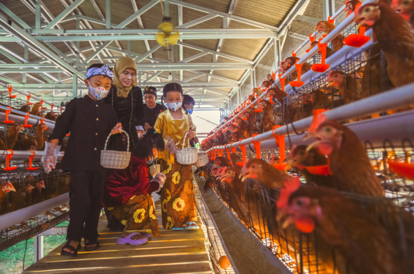 Ciasembaru's Farming Day