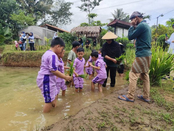 Tandur Pari & Lakon Suket