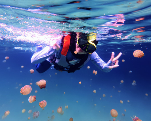 Snorkeling Danau Ubur-Ubur